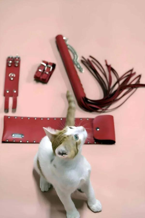 Red Leather Whip and Adjustable Cuffs Set for Couples