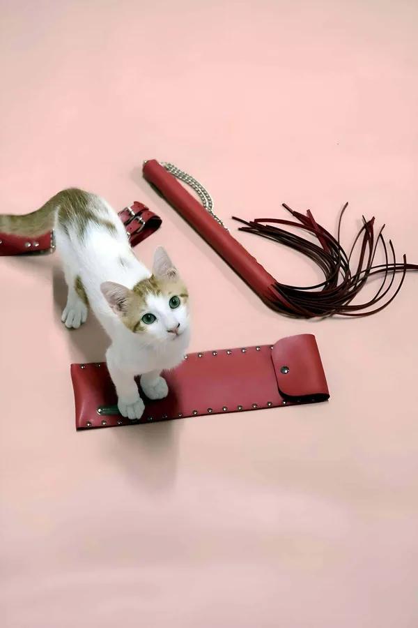 Red Leather Whip and Adjustable Cuffs Set for Couples