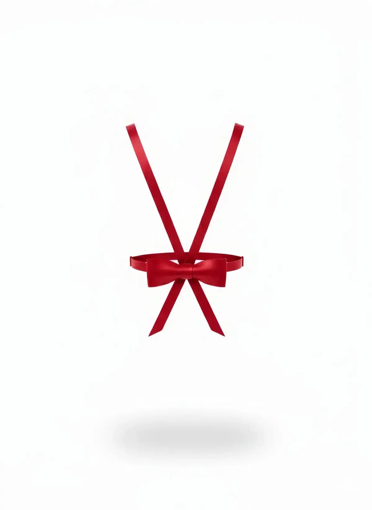 Red Satin Ribbon Harness with Sweet Bow Detail