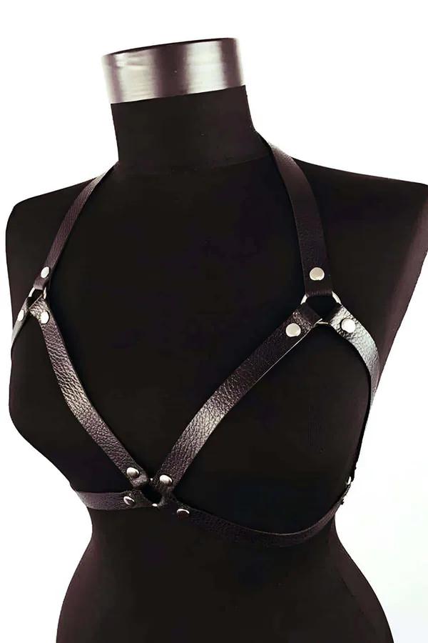 No-Pull Adjustable Dog Harness for All Breeds, All Sizes
