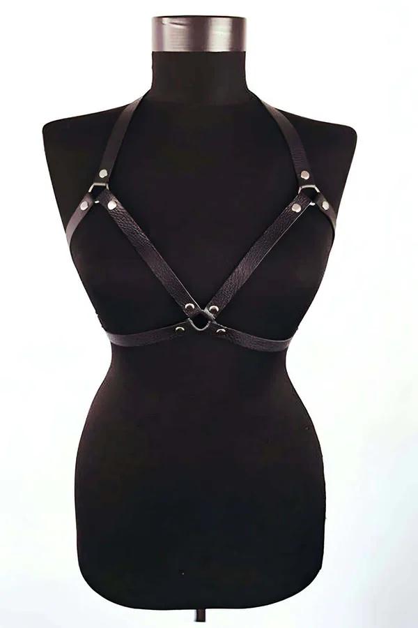 No-Pull Adjustable Dog Harness for All Breeds, All Sizes