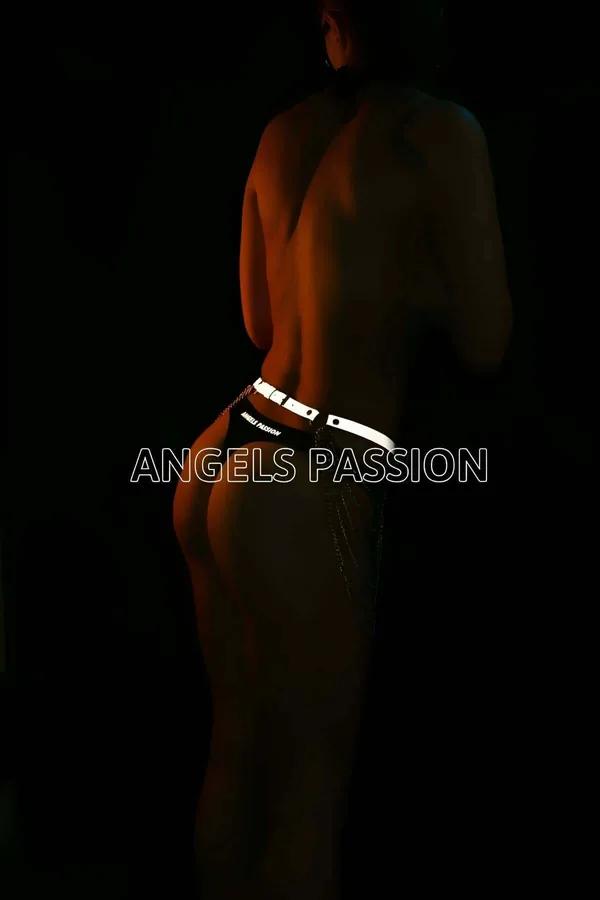 Reflective Chain Waist Harness with D-Rings
