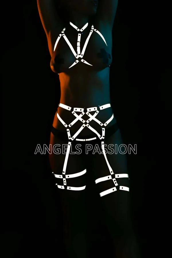 Reflective Full Body Harness with Chest & Garter Straps