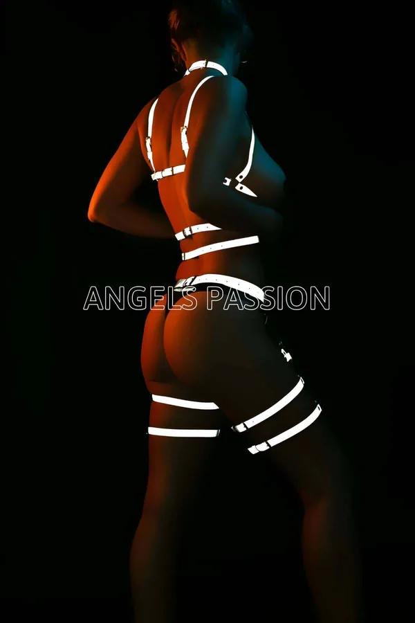 Reflective Full Body Harness with Chest & Garter Straps