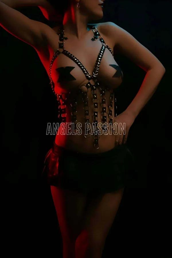 Full Body Harness with Hanging O-Rings