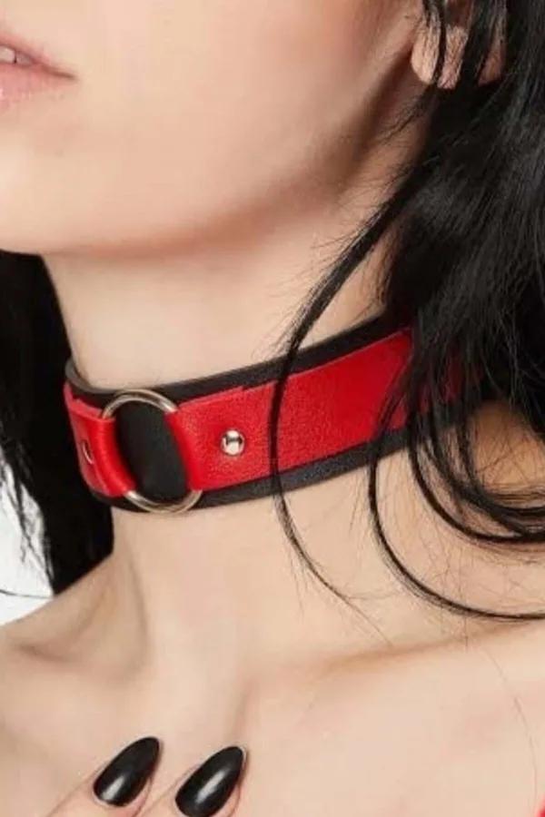 Durable Adjustable Dog Collar for Secure Daily Walks and Training