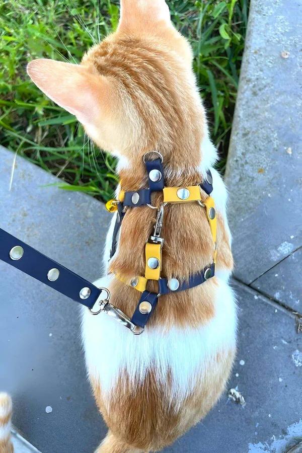 Cat Harness for Walking – Adjustable Faux Leather Leash Set