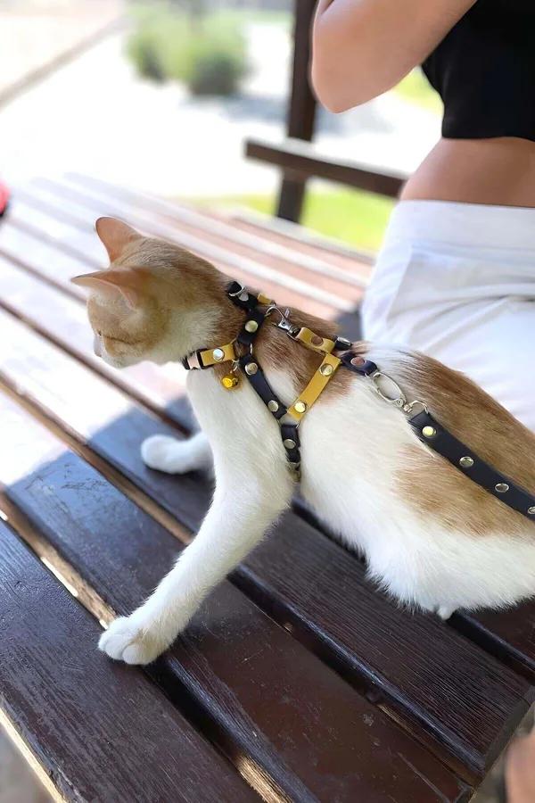 Cat Harness for Walking – Adjustable Faux Leather Leash Set
