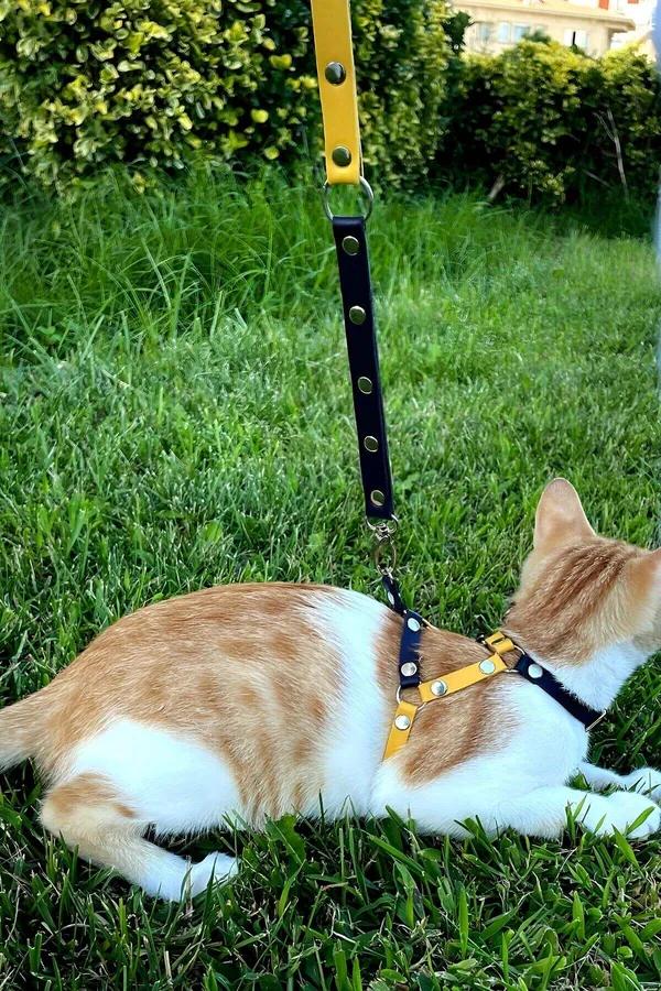Cat Harness for Walking – Adjustable Faux Leather Leash Set