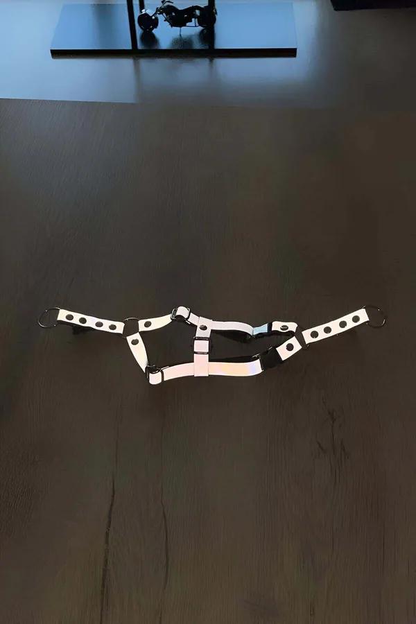 Cat Harness: Reflective, Adjustable, & Secure for Outdoor Walks