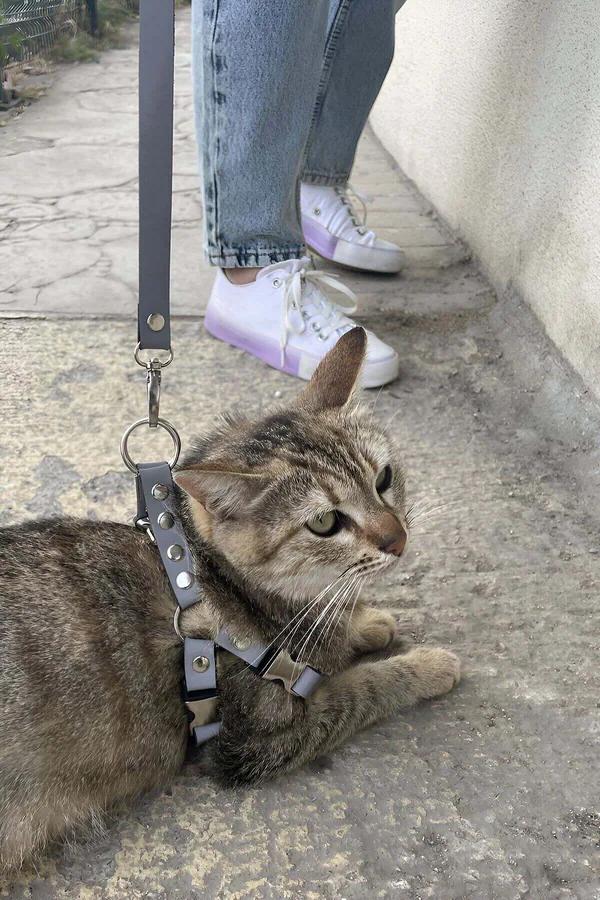 Cat Harness: Reflective, Adjustable, & Secure for Outdoor Walks