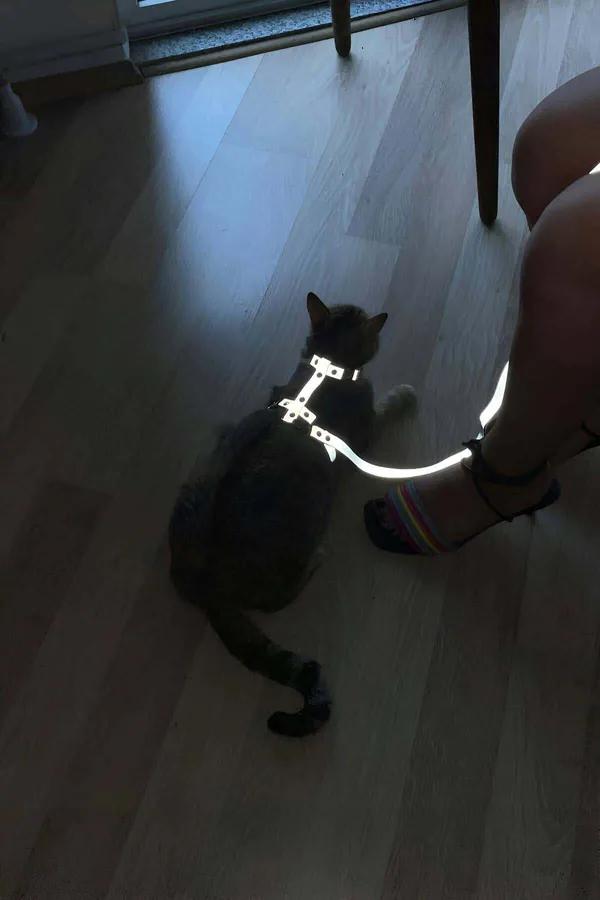 Reflective Body Harness with Adjustable Straps