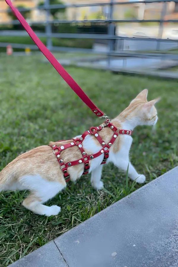 Cat Harness Adjustable Escape-Proof Red Faux Leather