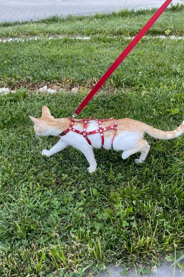 Cat Harness Adjustable Escape-Proof Red Faux Leather