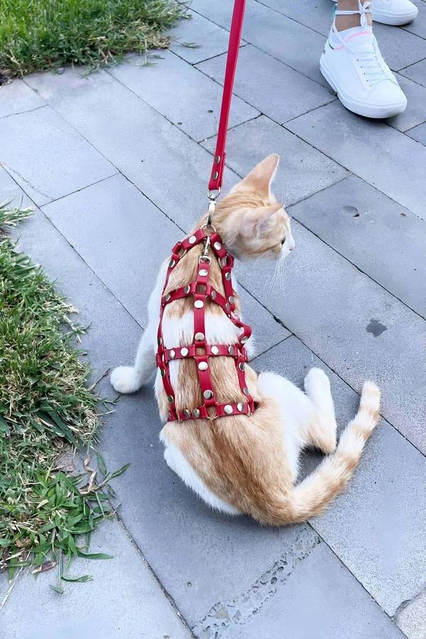 Cat Harness Adjustable Escape-Proof Red Faux Leather