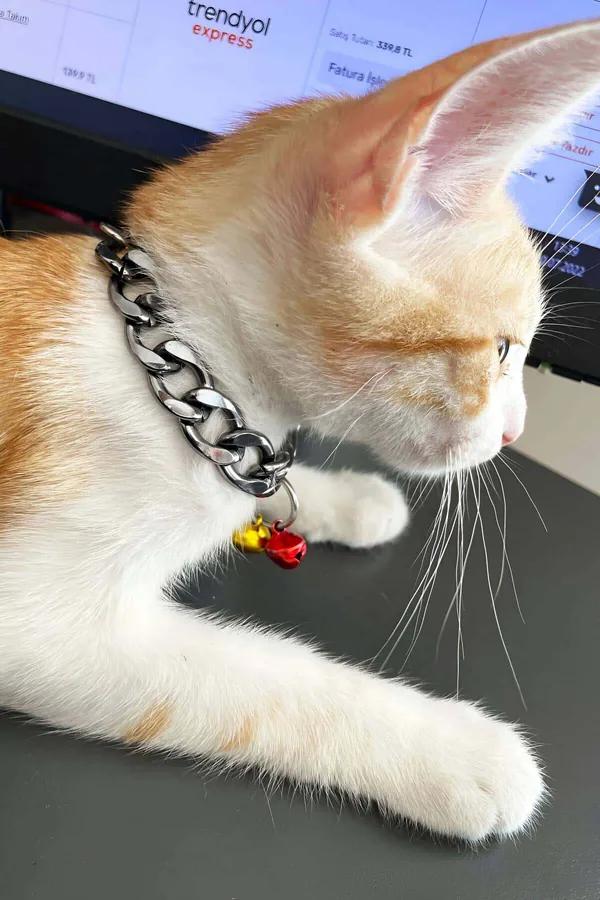 Heavy Duty Silver Chain Harness with Bell Charms