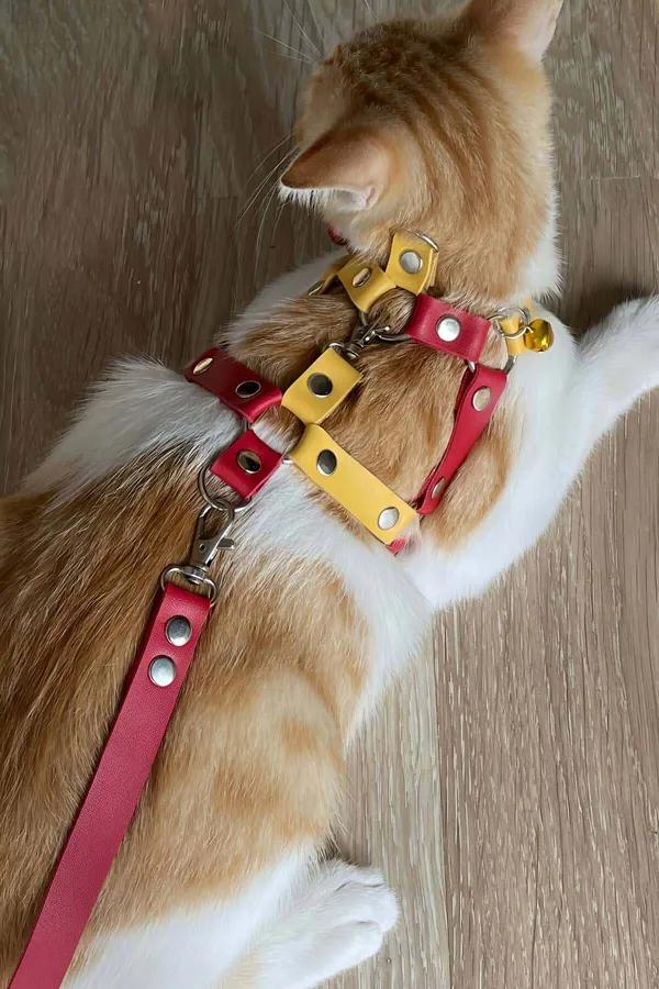 Cat Harness Adjustable Leather Leash Set for Safe Outdoor Walks