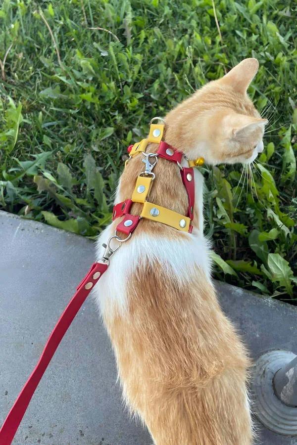 Cat Harness Adjustable Leather Leash Set for Safe Outdoor Walks