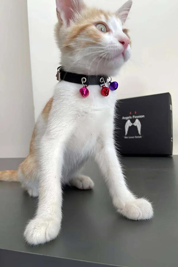 Black faux leather choker collar with pink red and purple jingle bell charms on silver D-rings silver buckle closure