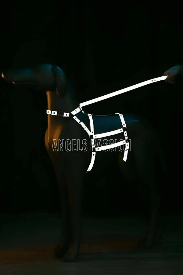 White reflective body harness with cage chest panel and silver rivet hardware glowing against dark background