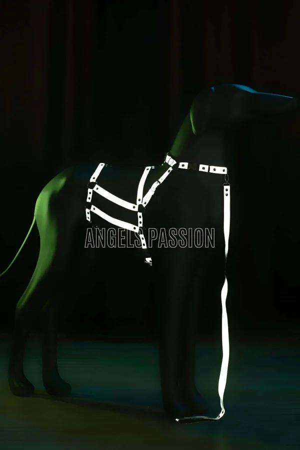 White reflective body harness with cage chest panel and silver rivet hardware glowing against dark background